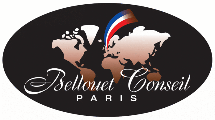 Logo Bellouet Conseil