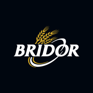 Logo Bridor