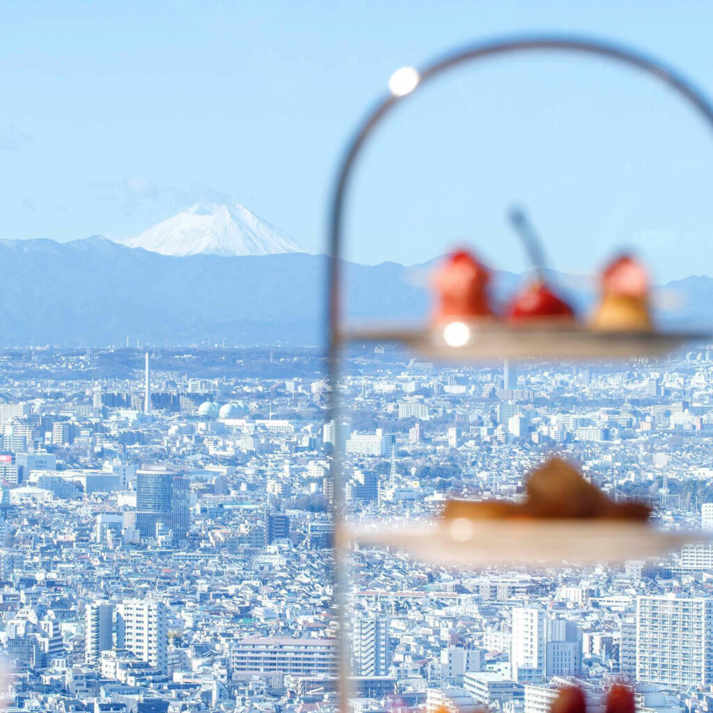 Le Park Hyatt et la vue sur le Mont Fuji